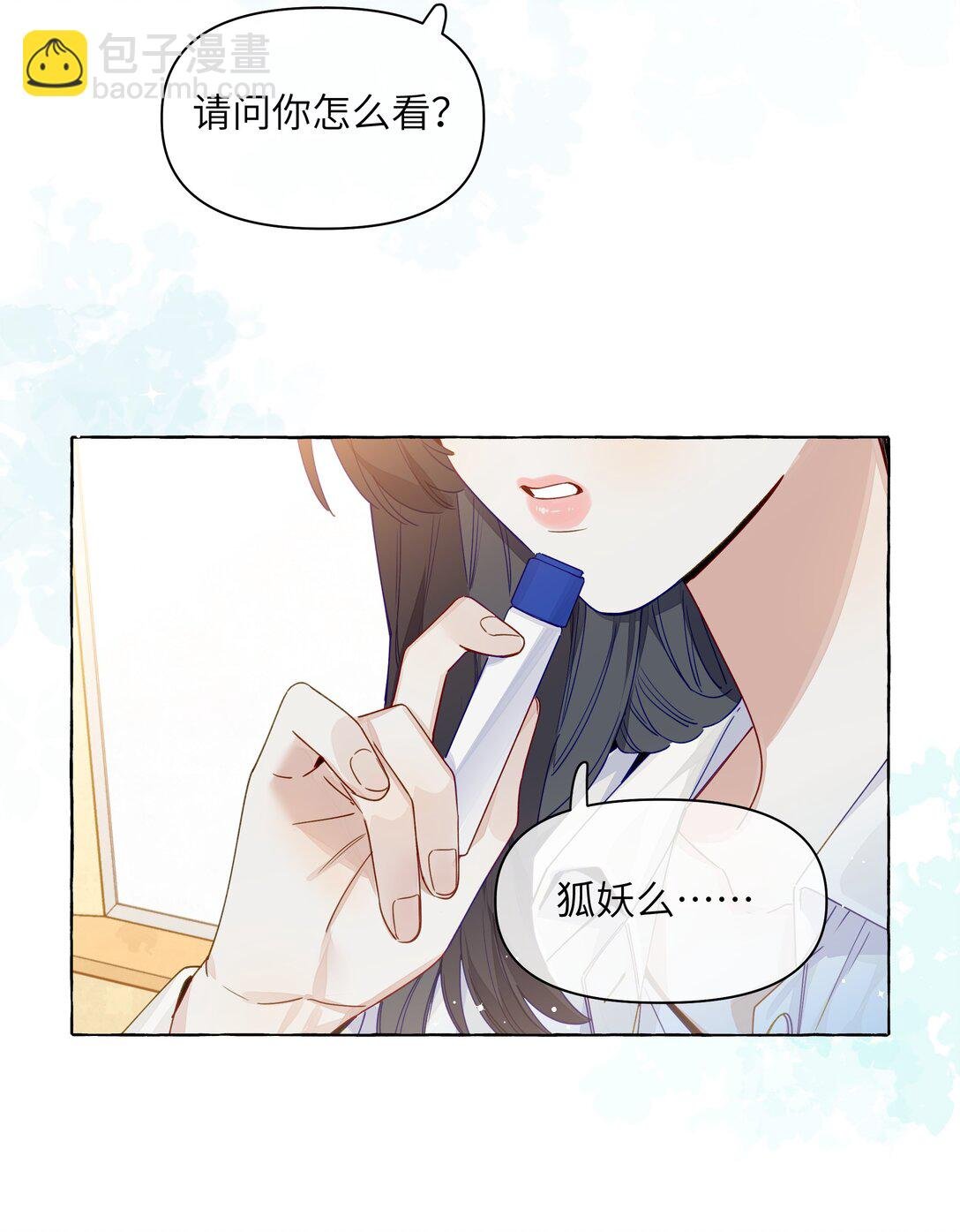 001 狐狸