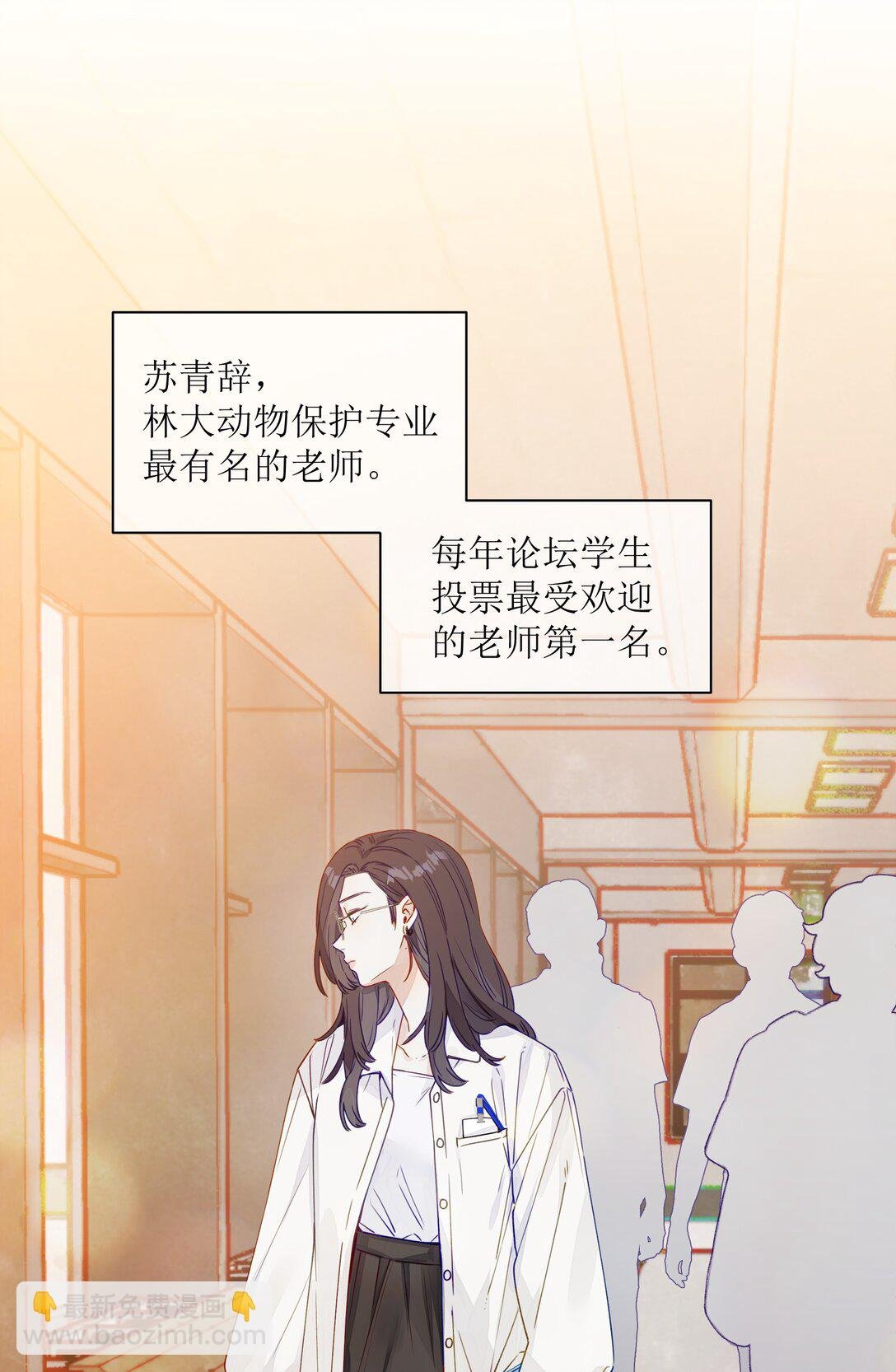 001 狐狸