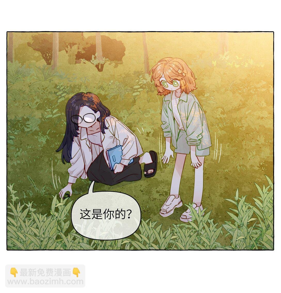 001 狐狸