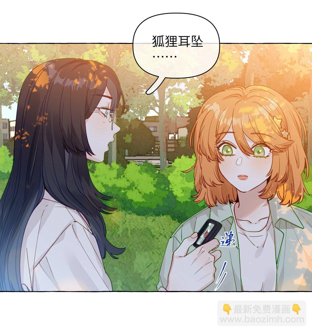 001 狐狸