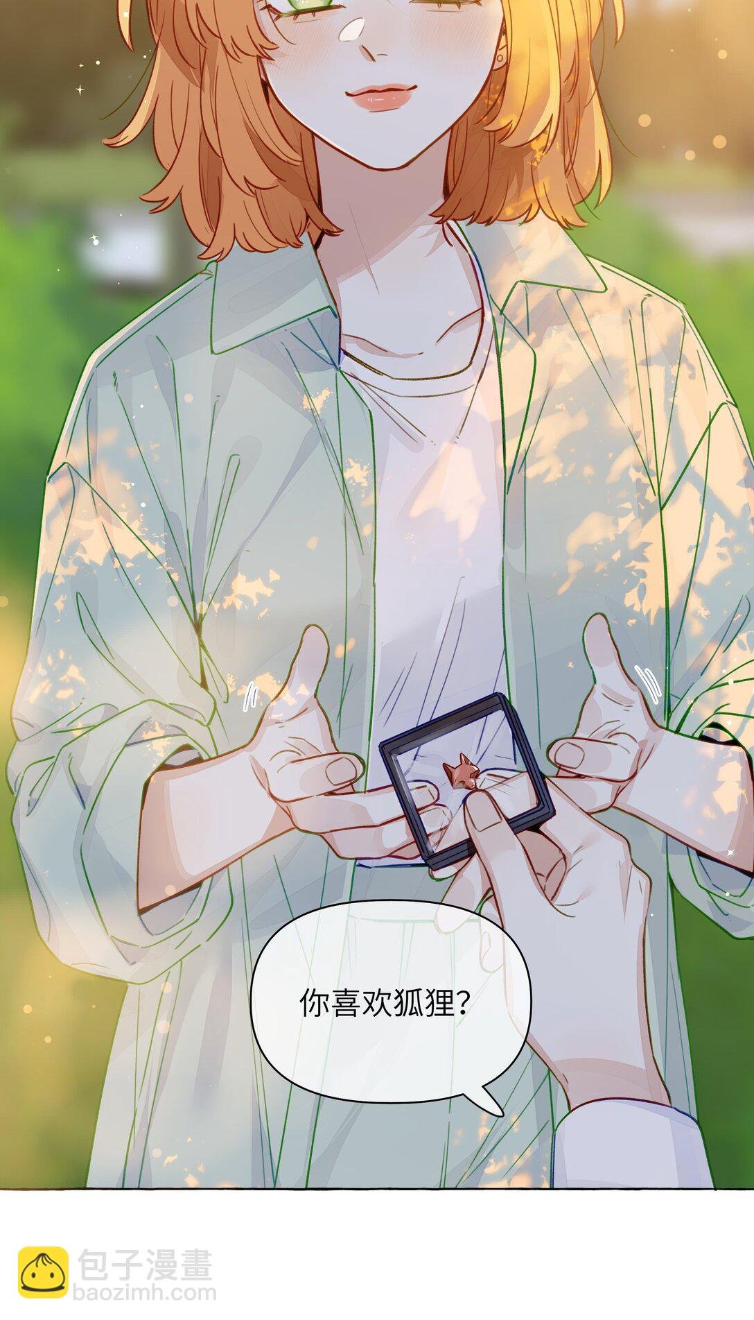 001 狐狸
