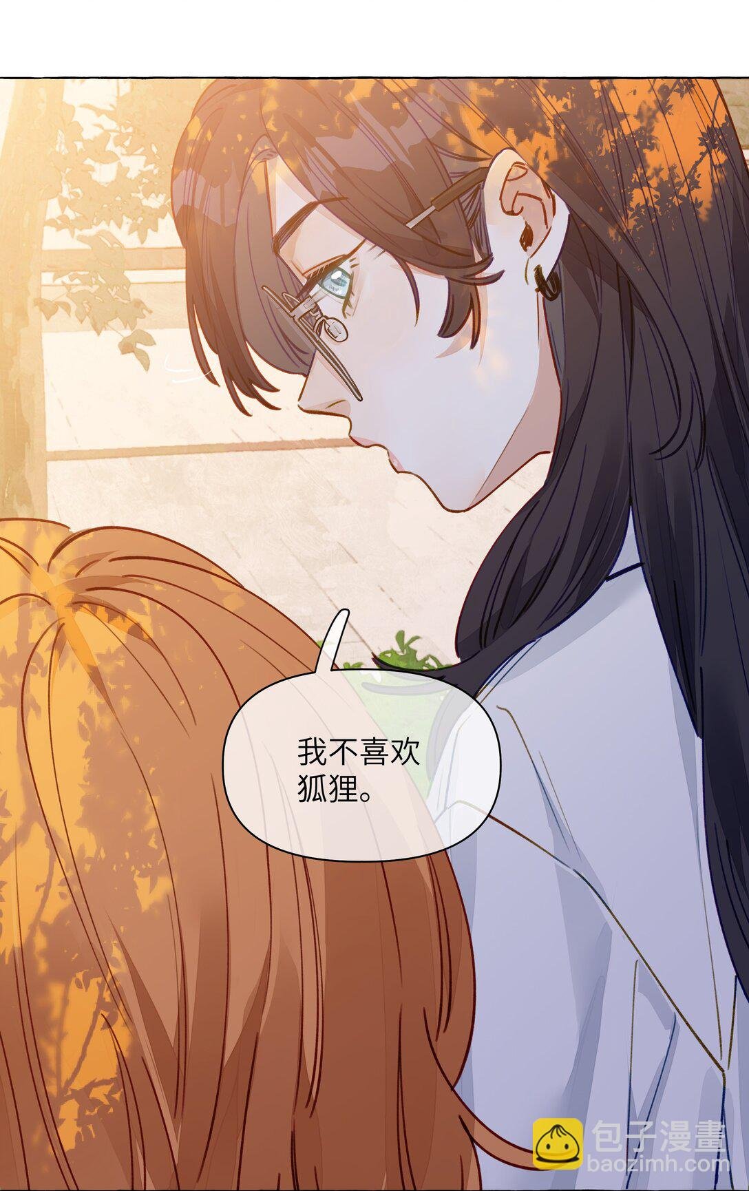 001 狐狸