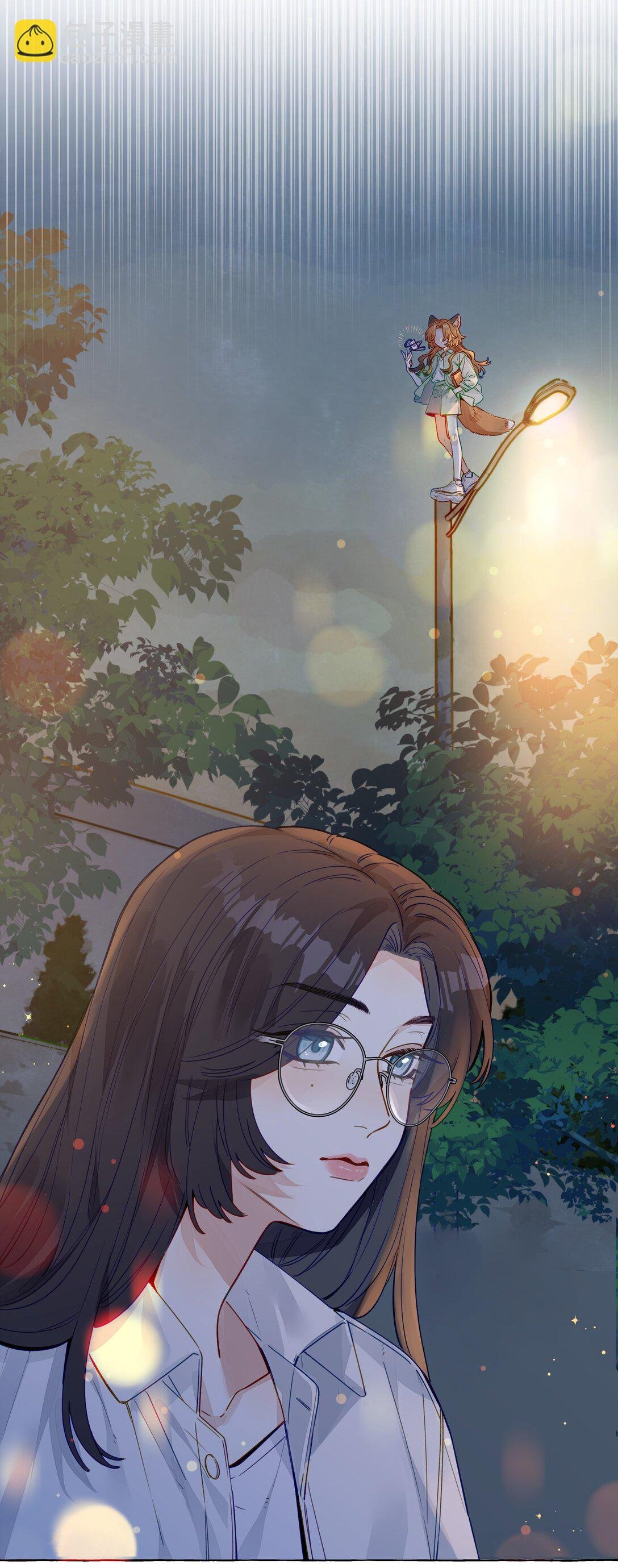 001 狐狸