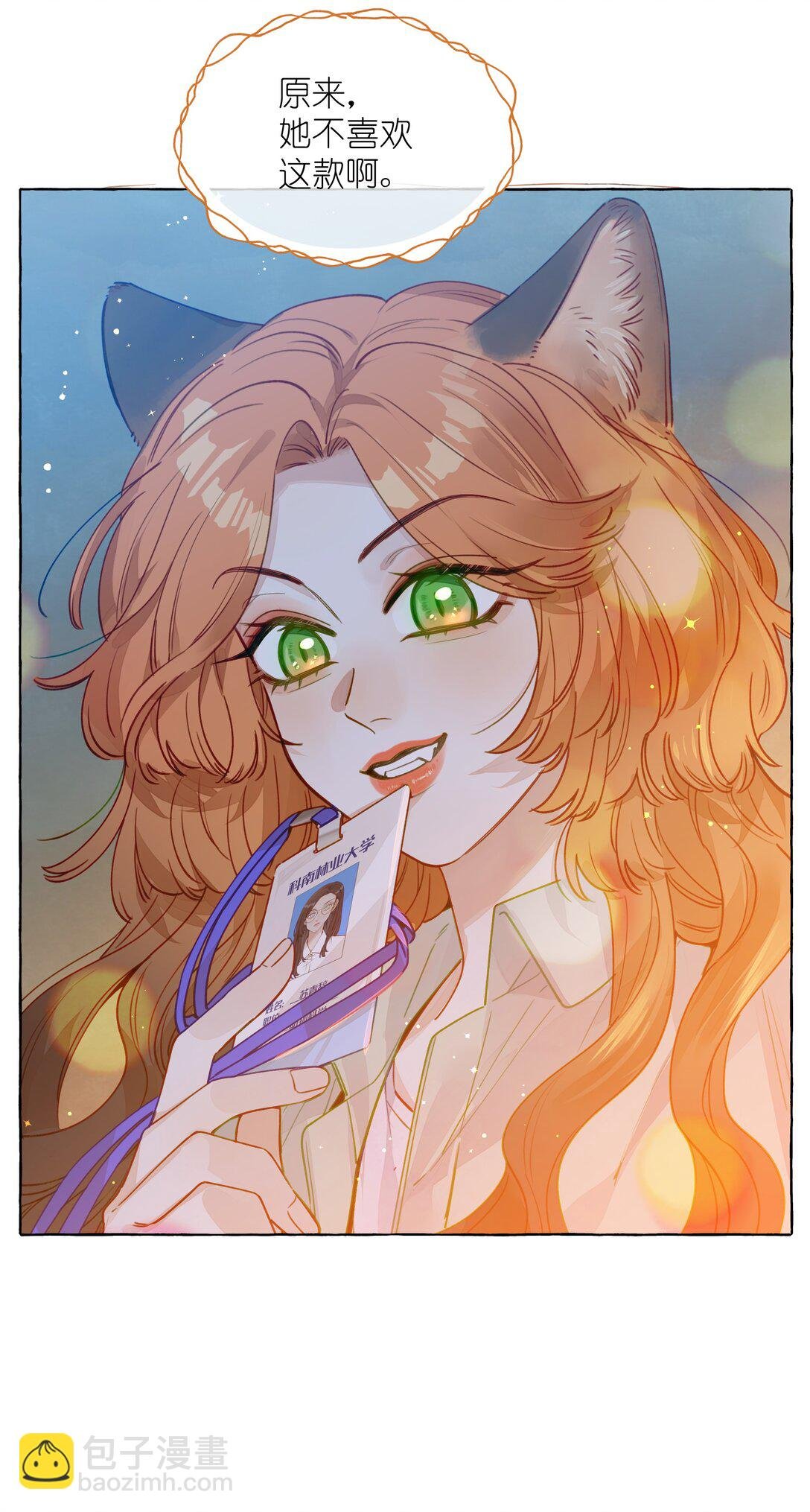 001 狐狸