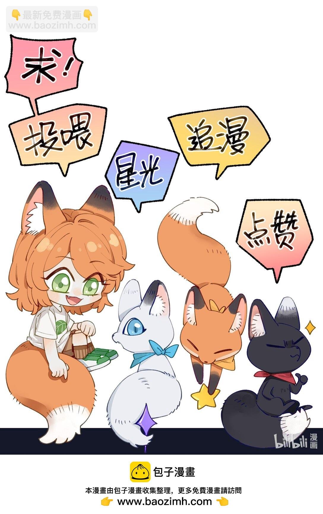 001 狐狸