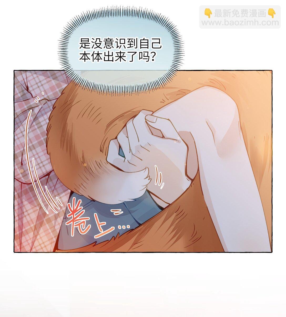 008 对小动物最温柔了