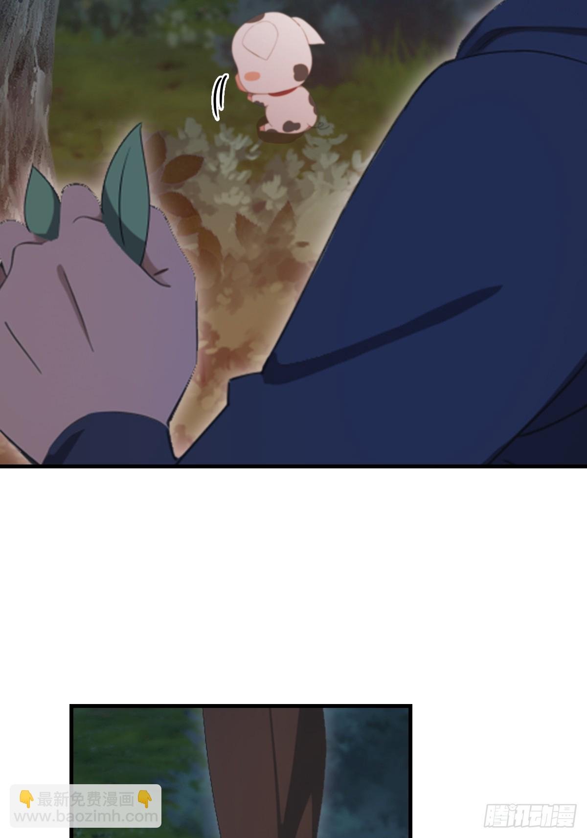 第47话 猪八戒的秘密