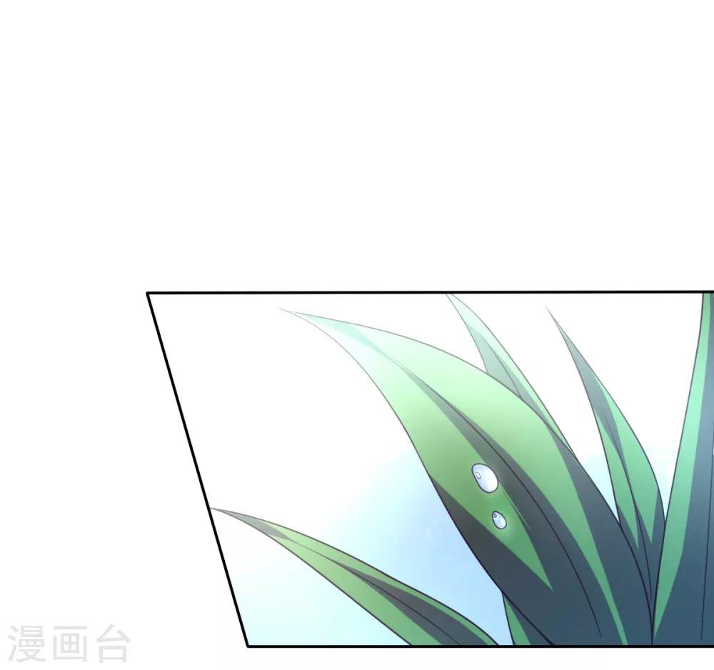 第26话 初见乔大小姐