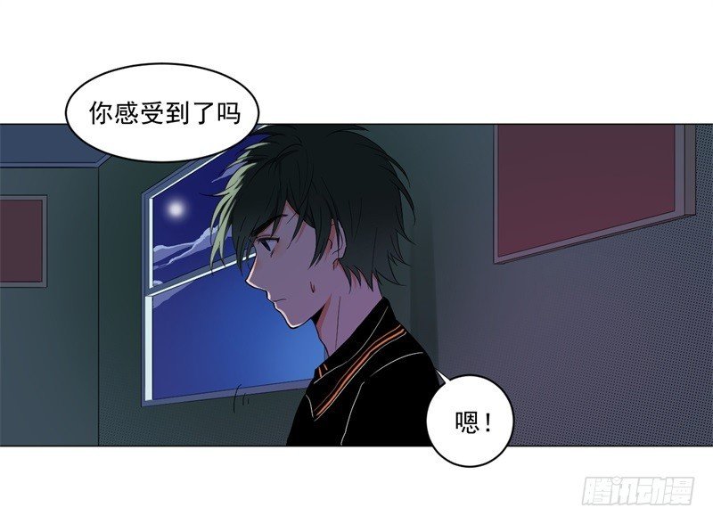 猫脸老太太01