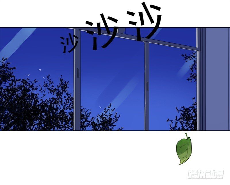 猫脸老太太01