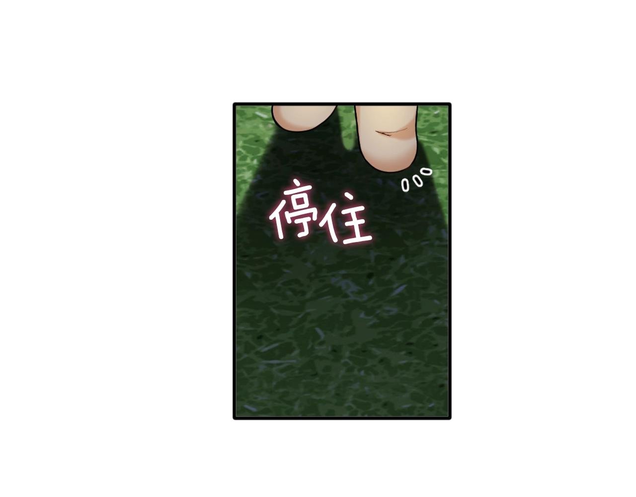 第9话 勇敢熊熊，不怕猫猫！