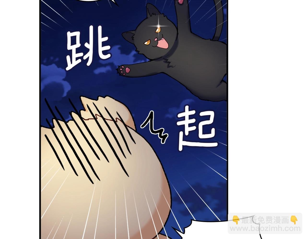第9话 勇敢熊熊，不怕猫猫！