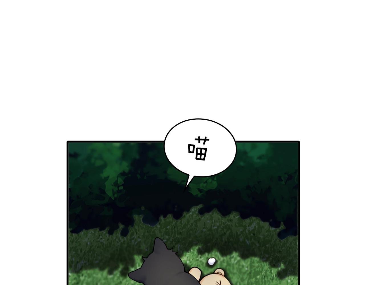 第9话 勇敢熊熊，不怕猫猫！