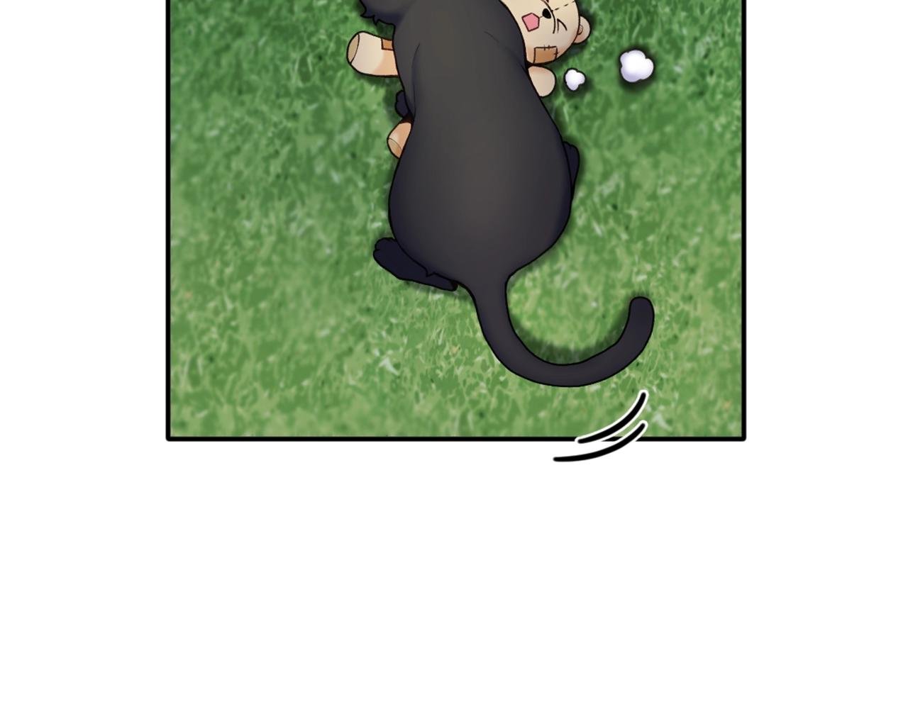 第9话 勇敢熊熊，不怕猫猫！