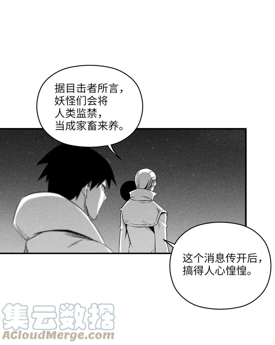 100 率斑里的直系后代