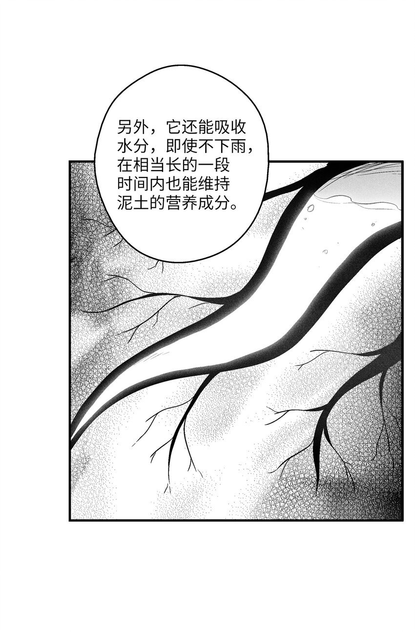 118 驯化妖怪的计划