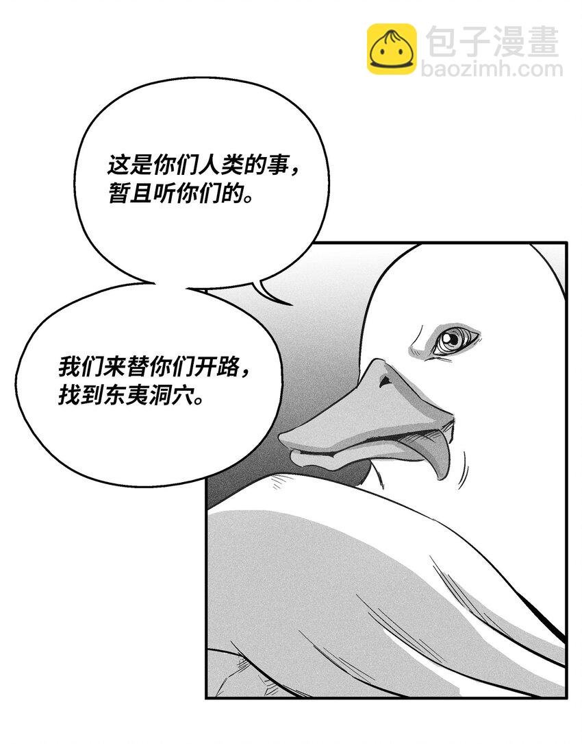 152 小青蛙陆漫