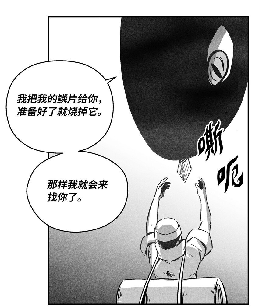 152 小青蛙陆漫