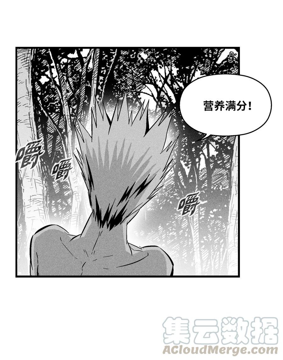 027 丛林妖气