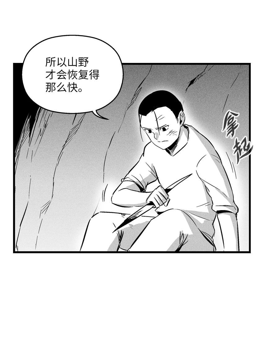 027 丛林妖气
