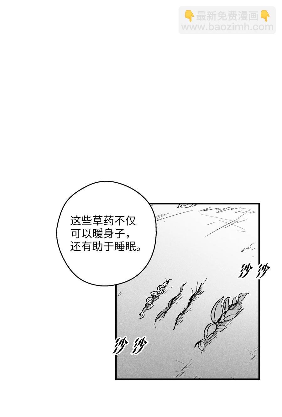 027 丛林妖气