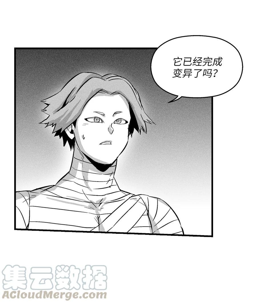027 丛林妖气