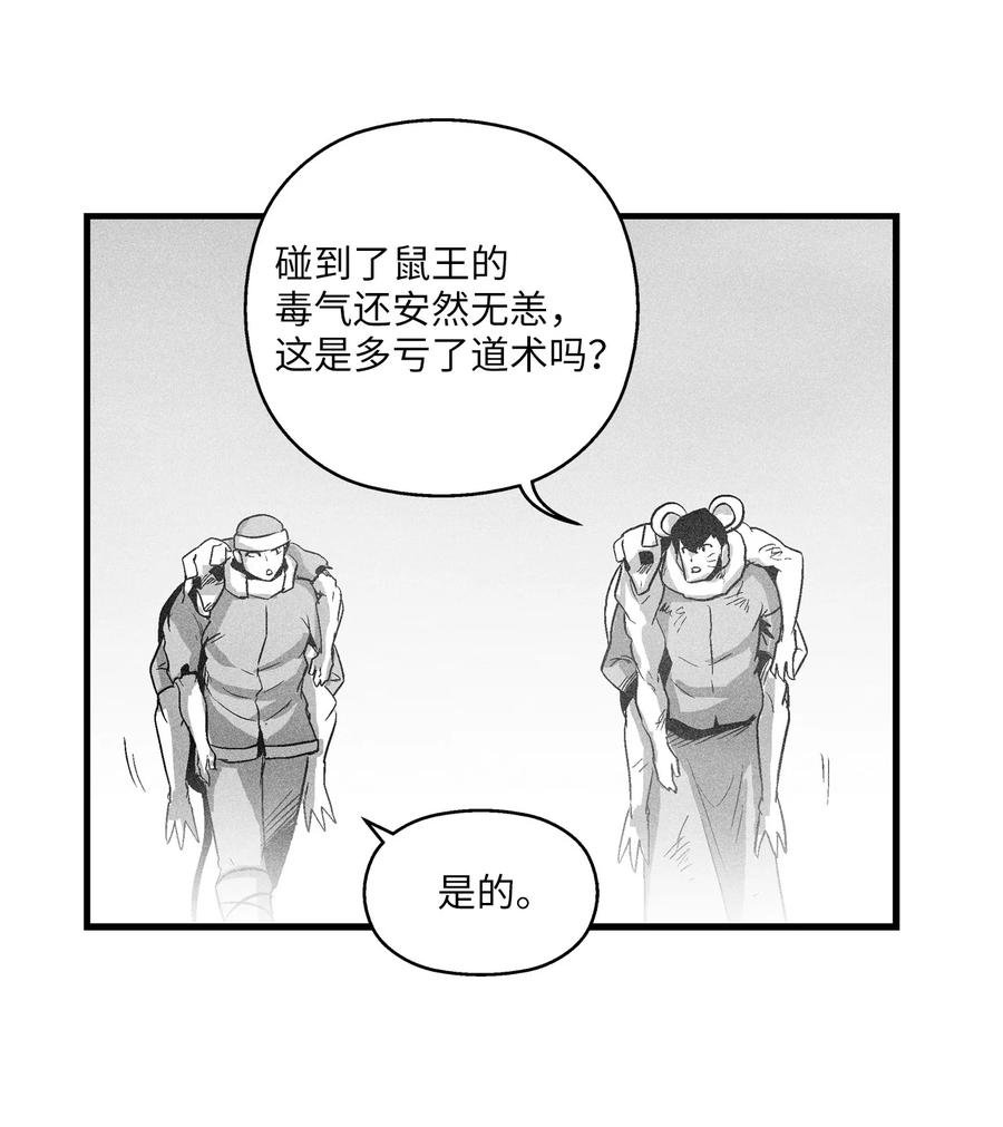 064 被鼠王觊觎的原因