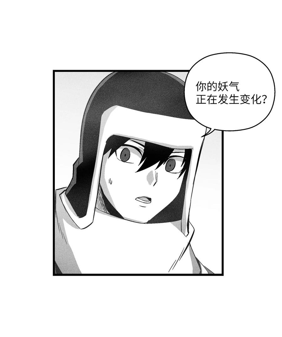 064 被鼠王觊觎的原因