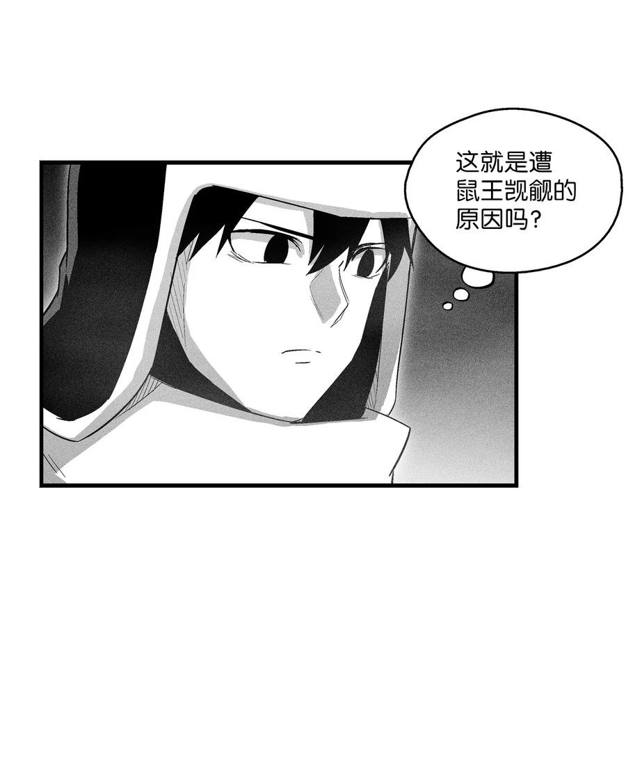 064 被鼠王觊觎的原因