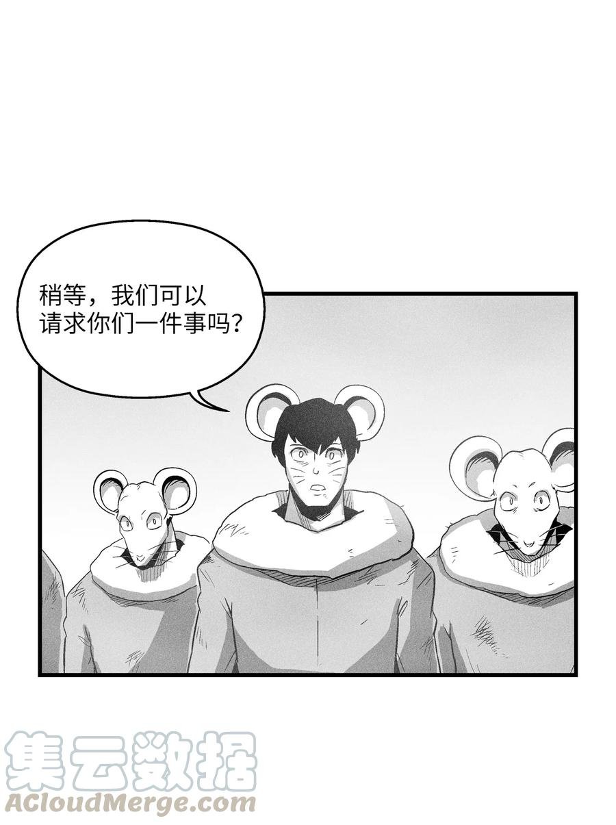 064 被鼠王觊觎的原因