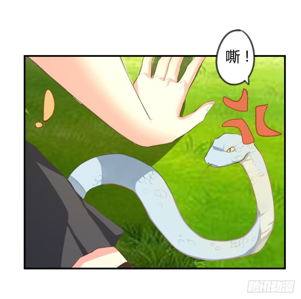 你是我的劫