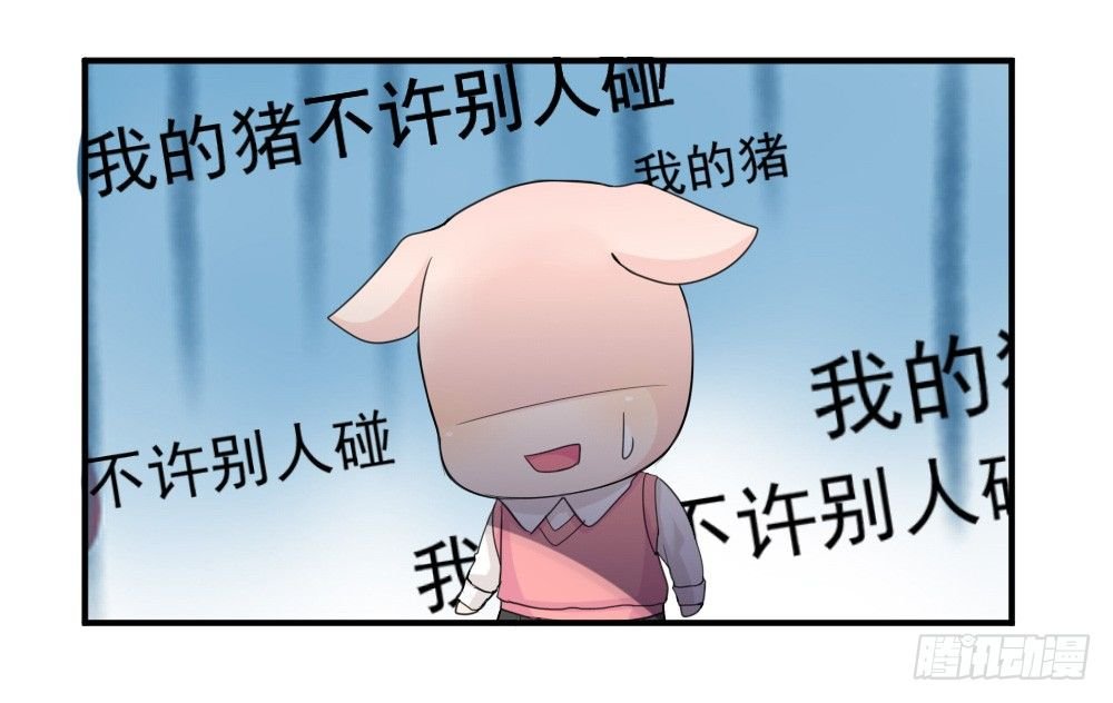 只能做猪猪