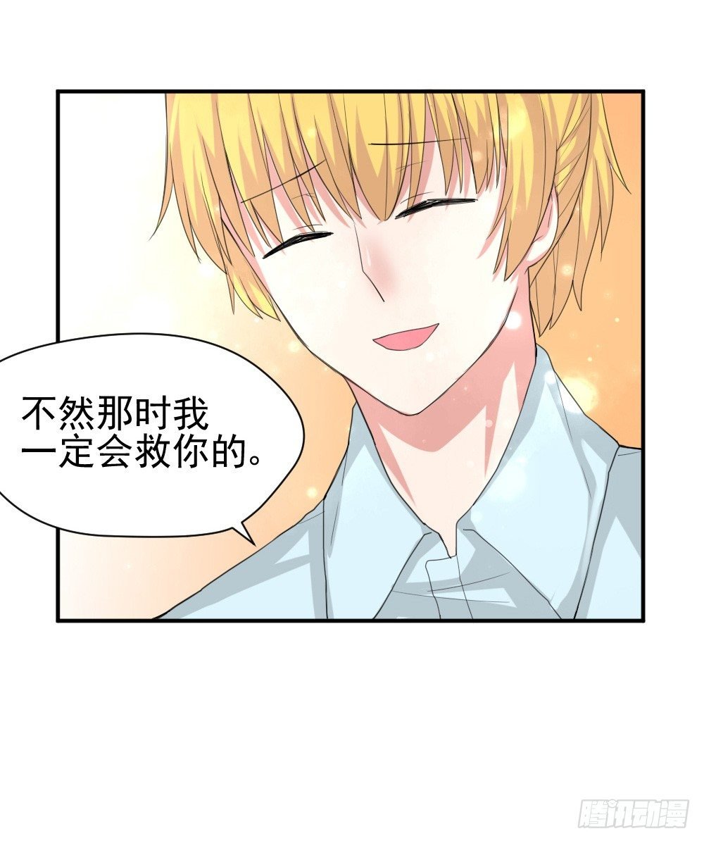 只能做猪猪