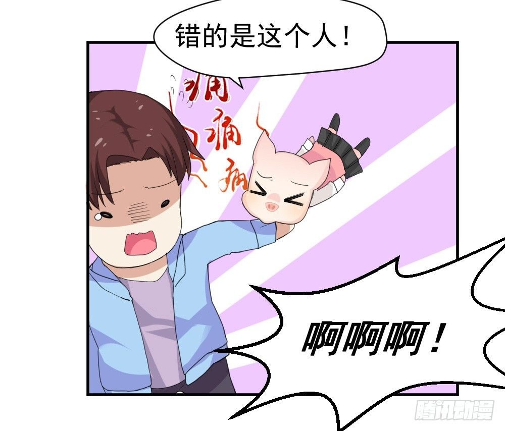 只能做猪猪