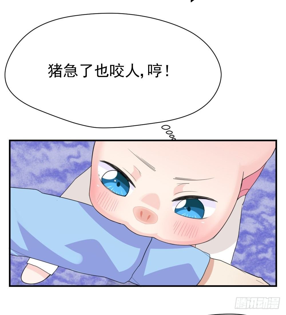只能做猪猪