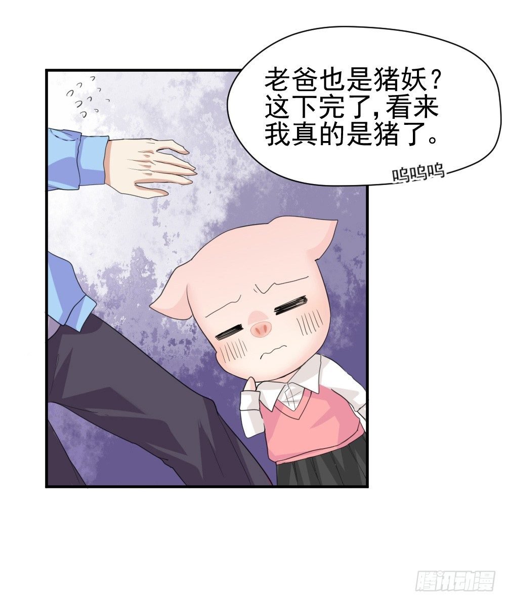只能做猪猪