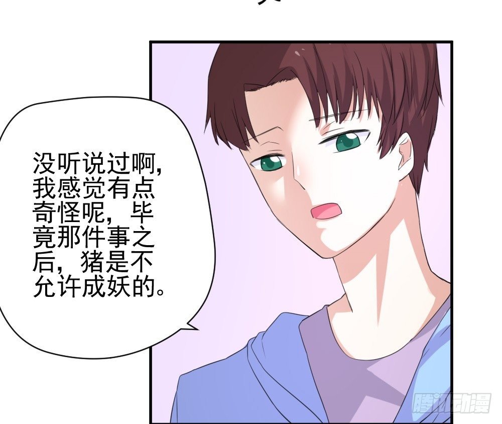 只能做猪猪