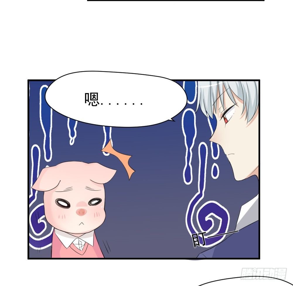 只能做猪猪