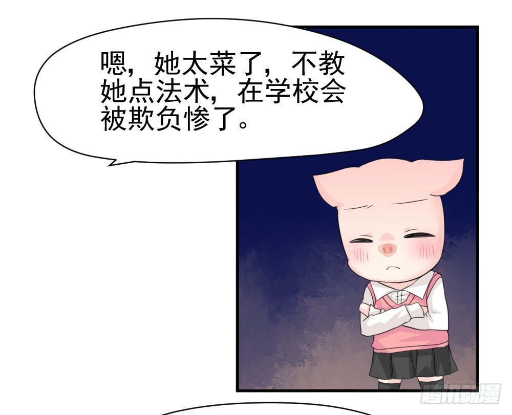 只能做猪猪