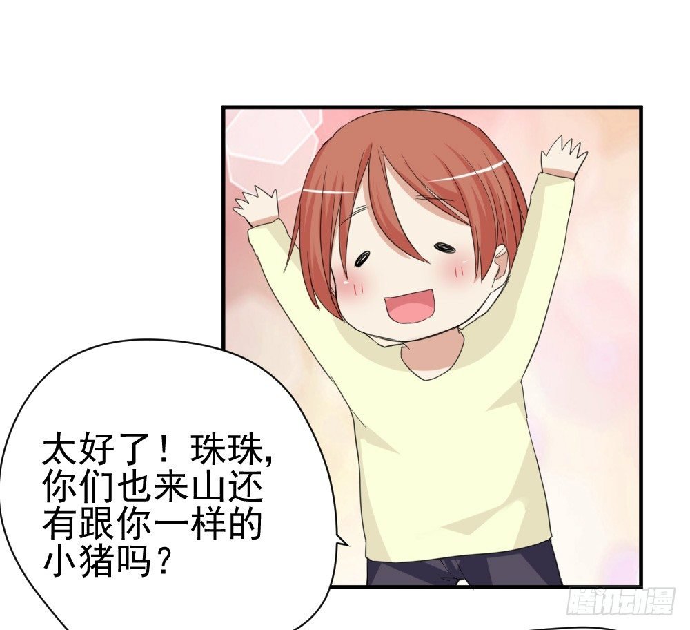 只能做猪猪