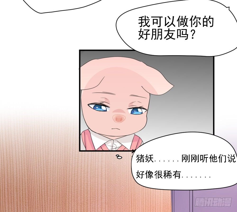 只能做猪猪