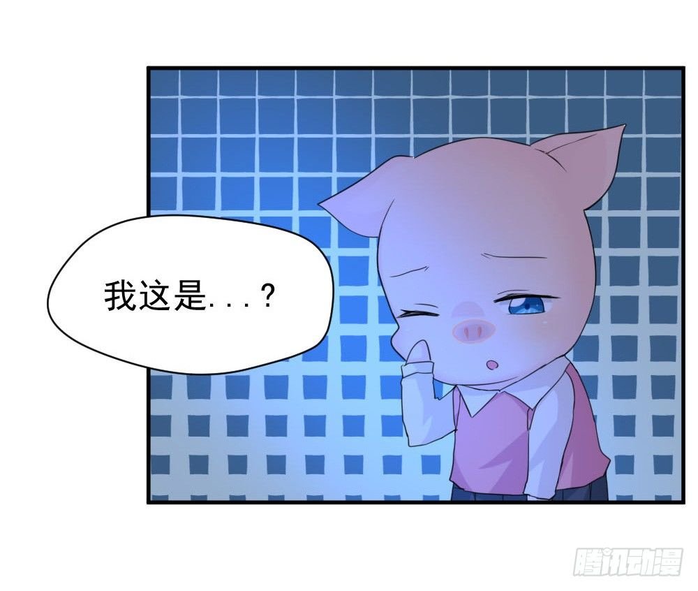 奇怪的猪猪画像（1）