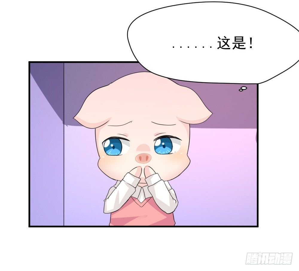 奇怪的猪猪画像（1）