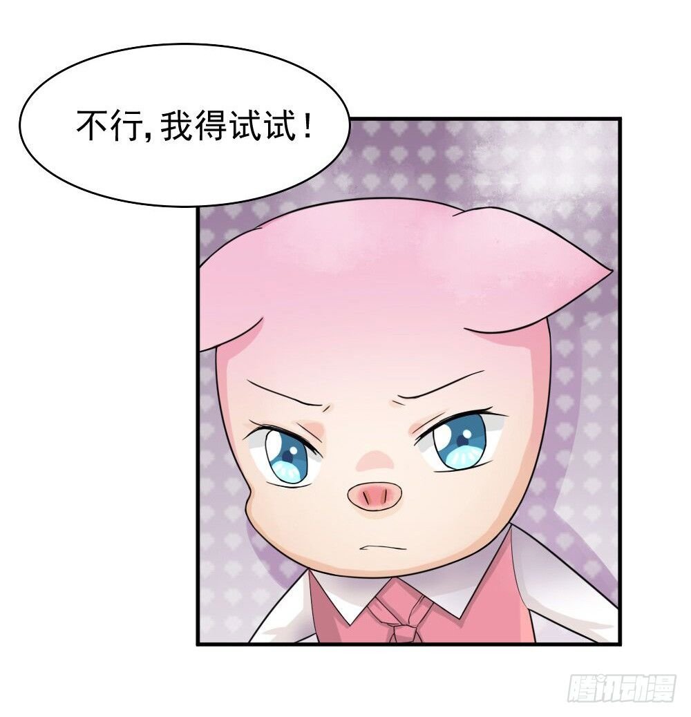 奇怪的猪猪画像（3）