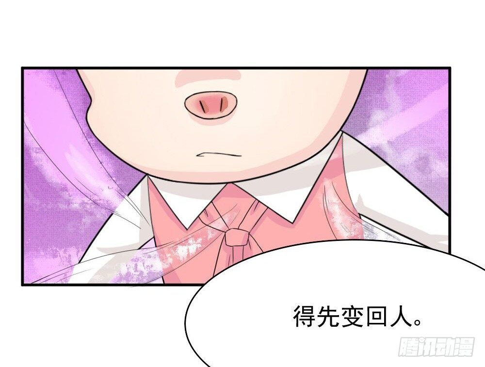 奇怪的猪猪画像（3）