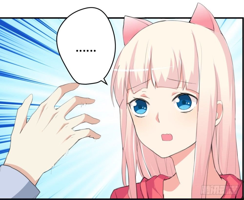 变成一只猪