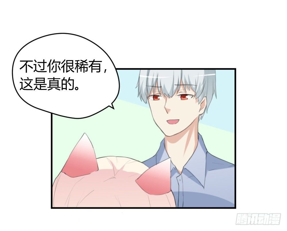 变成一只猪