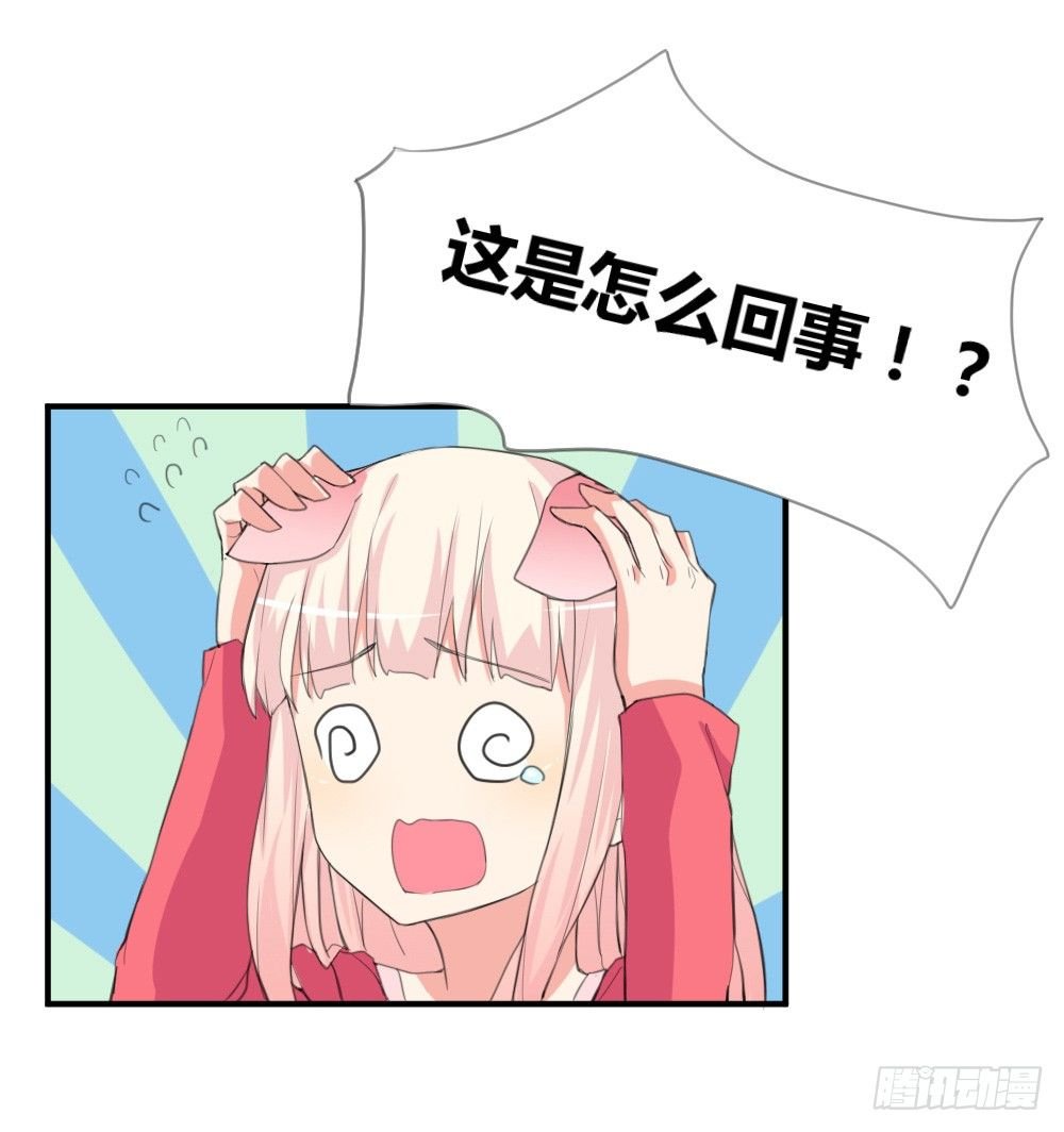变成一只猪
