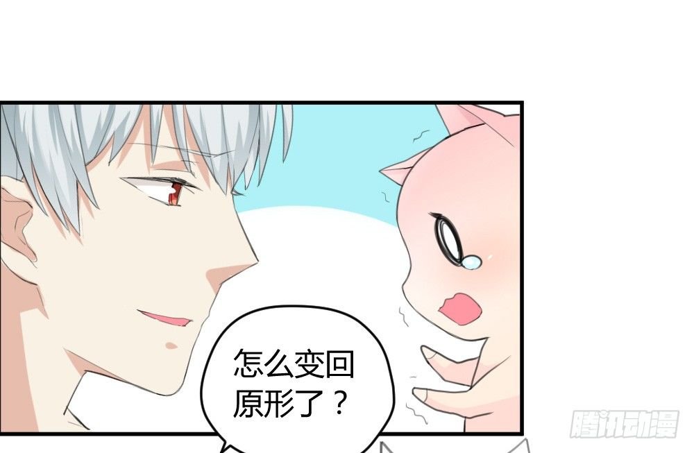 变成一只猪