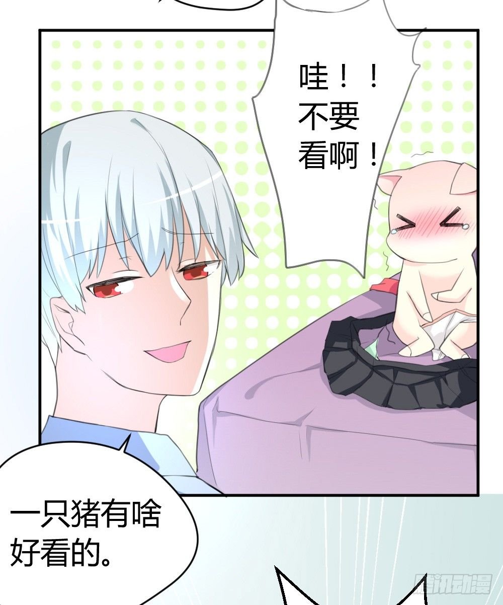 变成一只猪
